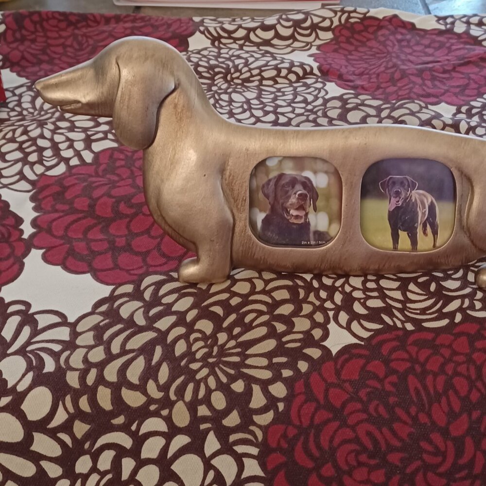 Isaac Jacobs Golden Dachshund shaped picture frame. Fits two  2x2 pictures.